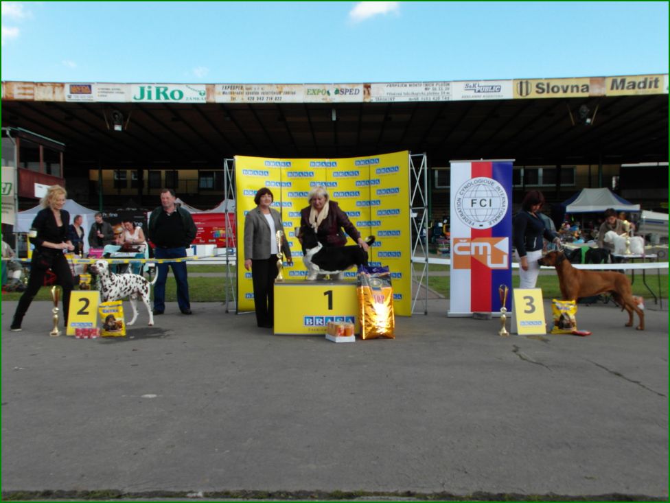 Nejkrsnj pes skupiny FCI 6 sobota 27.9.2014