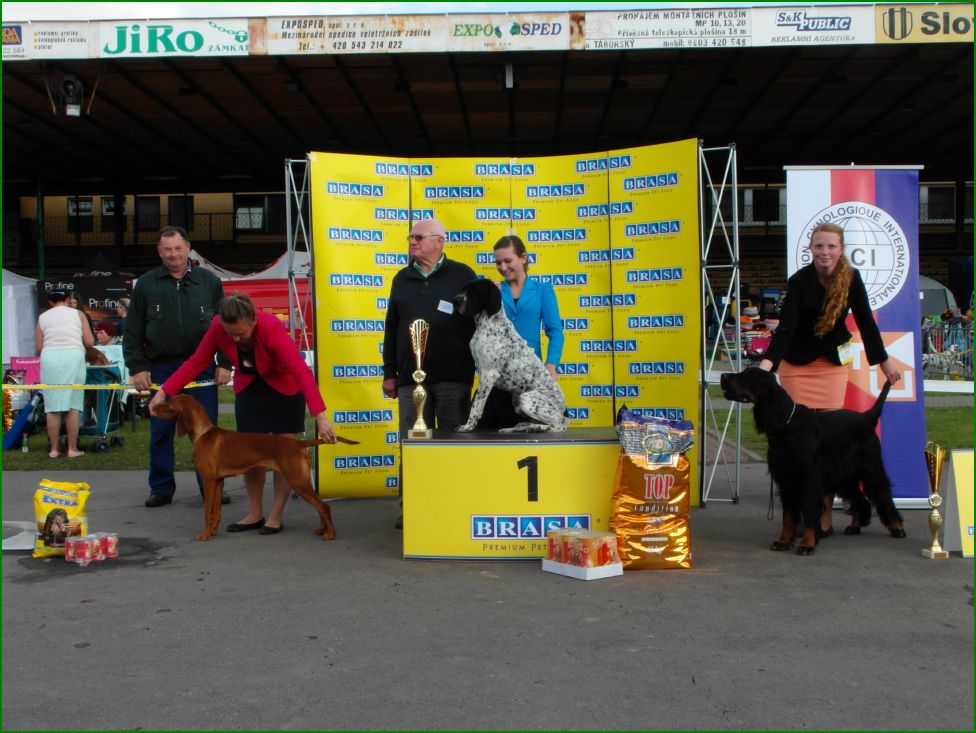 Nejkrsnj pes skupiny FCI 7 sobota 27.9.2014